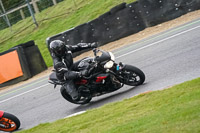 Middle 2 Group Silver_Grey Bikes